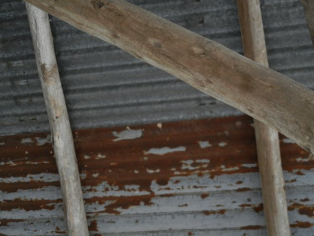 Timber construction - Hut roof beams